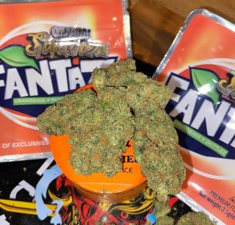 New Product Launches: Discover the Latest Additions to Flavor Mafia