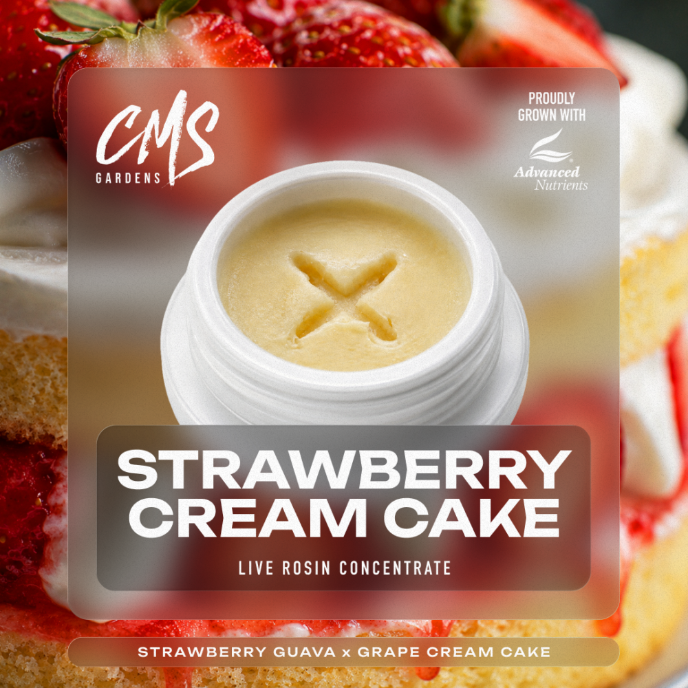Strawberry Cream Cake